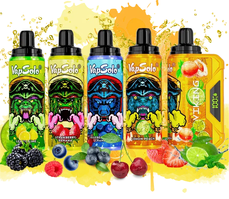 Hoogtepunten van Vapsolo Viking 12K