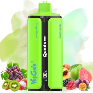 Vapsolo Quads 80000 Grape Burst-Lychee Ice-Peach Berry-Kiwi Passion Fruit Guava - Vapsolo Nederland