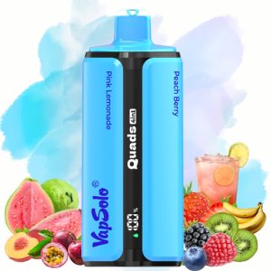 Vapsolo Quads 80000 Pink Lemonade-Kiwi Passion Fruit Guava-Peach Berry-Strawberry Banana - Vapsolo Nederland